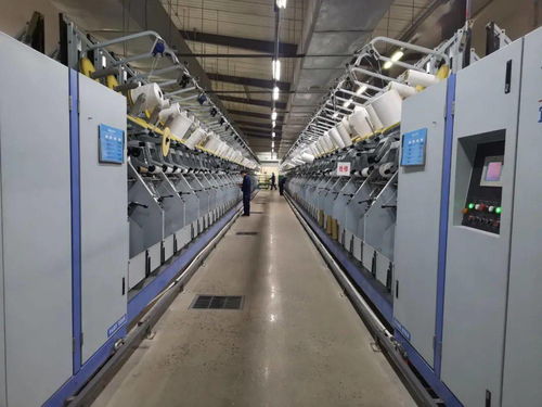 小船 再揚(yáng)帆,何以破風(fēng)浪 簾子布公司以地毯絲廠為試點(diǎn)蹚出改革發(fā)展新路徑的啟示