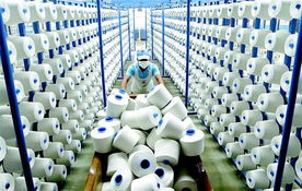 堅持質量效益型之路