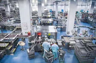 百名社長總編走進無限極新會生產(chǎn)基地受羊城晚報等全國主流媒體關(guān)注